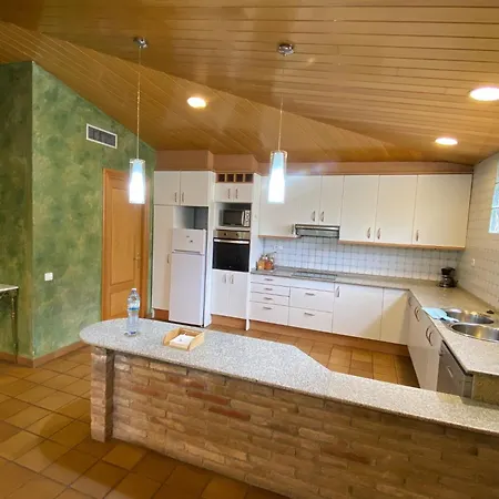 Alpehytte La Vinya De Mas Pujol